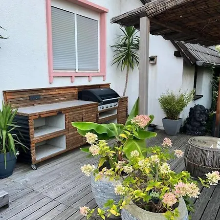 Lägenhet Design Bali In Roedersheim-gronau Rodersheim-Gronau